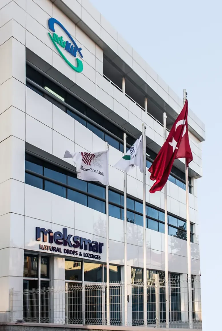 MeksMar building and flags